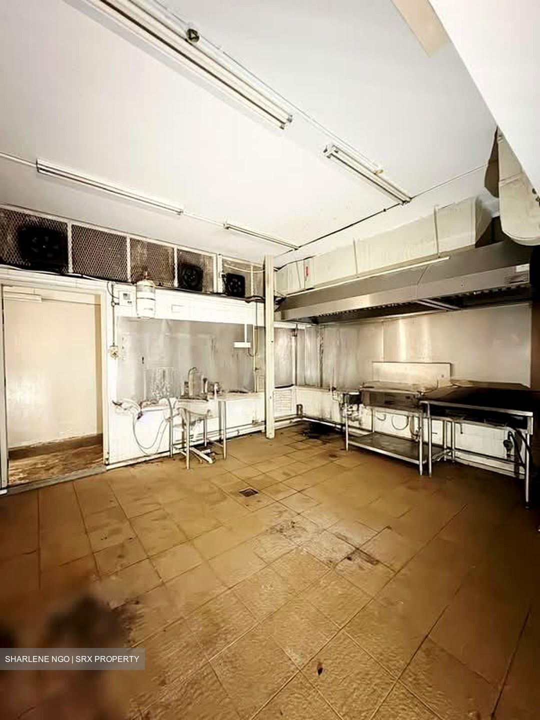 Sembawang Hills Estate (D20), Shop House #535785911